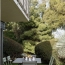  Annonces VENISSIEUX : Apartment | VILLEURBANNE (69100) | 65 m2 | 370 000 € 